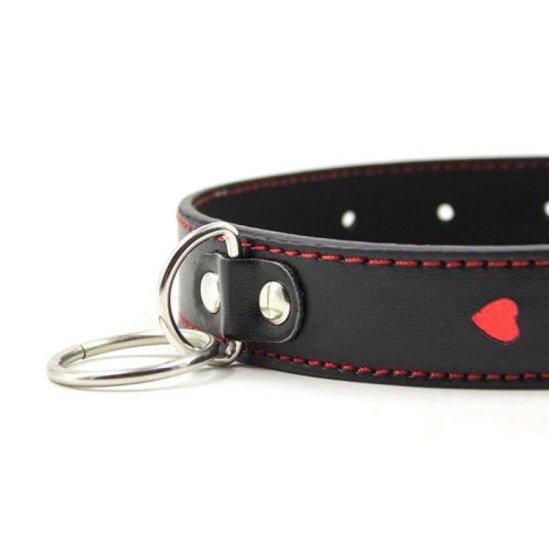 Easy Collar Leash Black