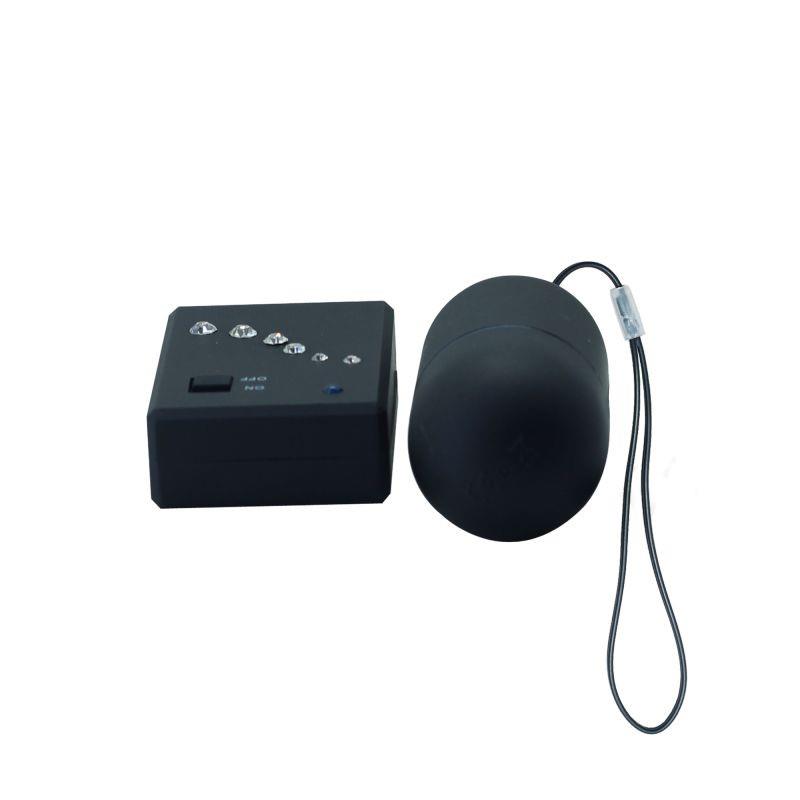 Ovetto Vibrante Timeless Crystal Lover