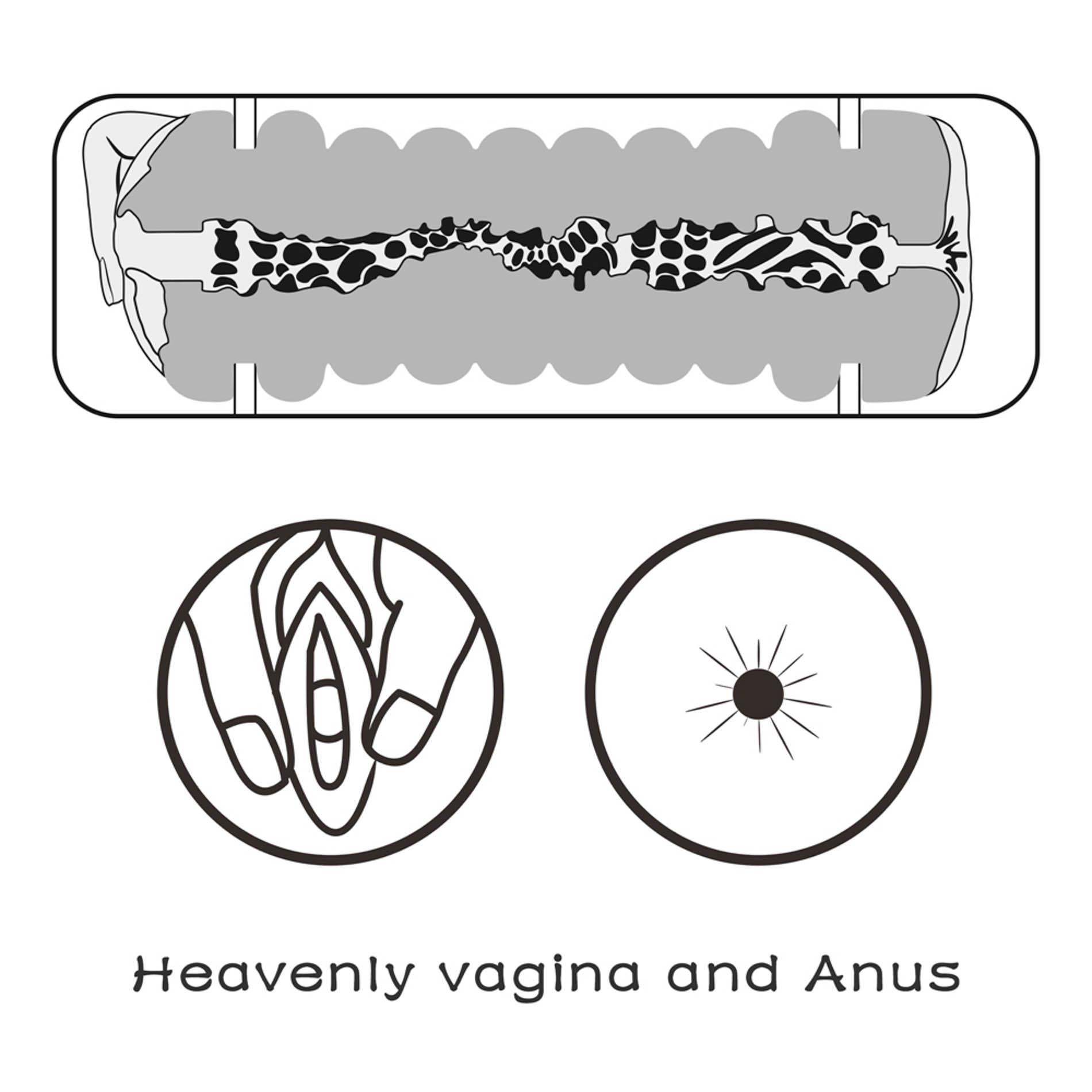 Virgin-Skin Blowout StrokerVagina And Anus