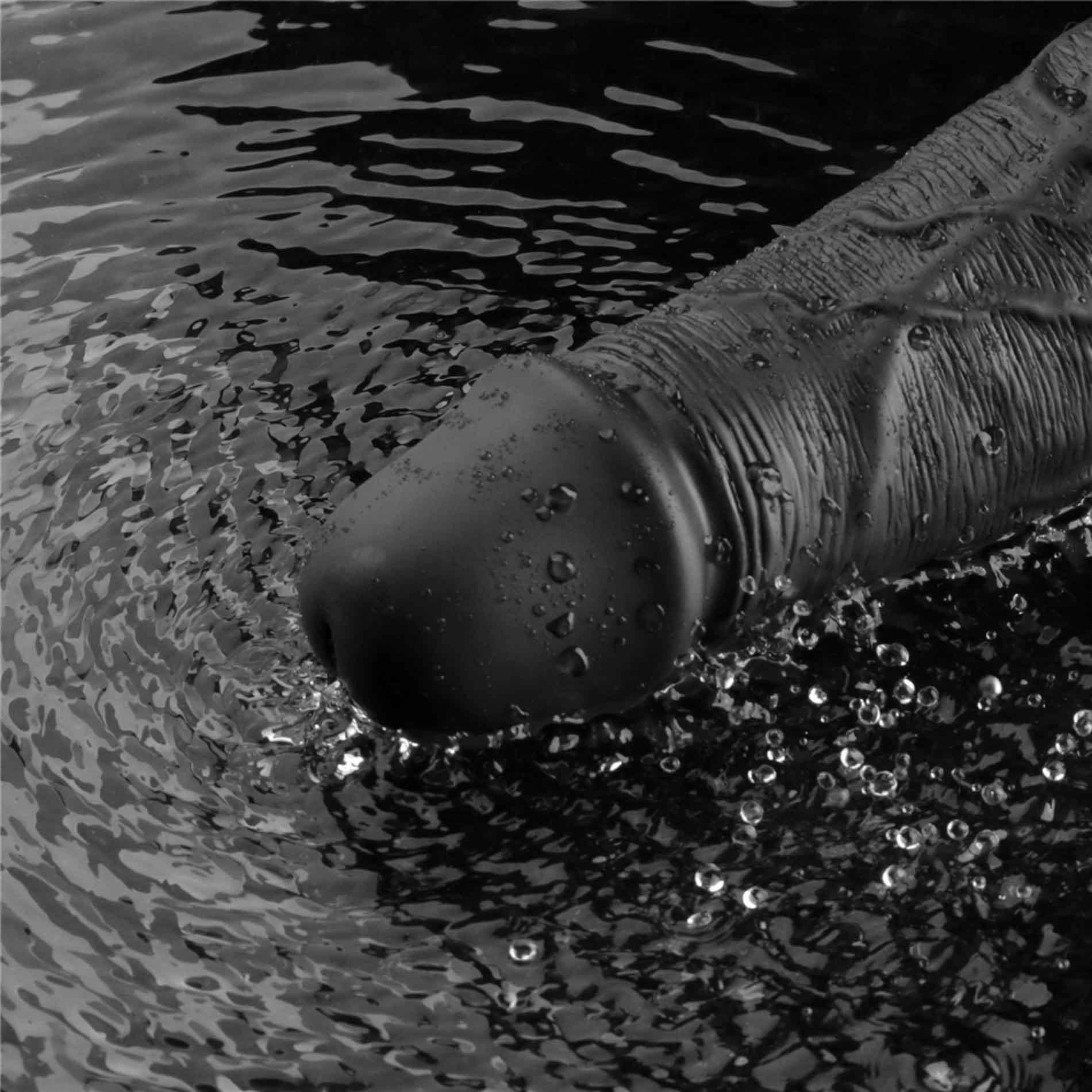 10" Real Softee Rechargeable Tpe Vibrating Dildo(Black)