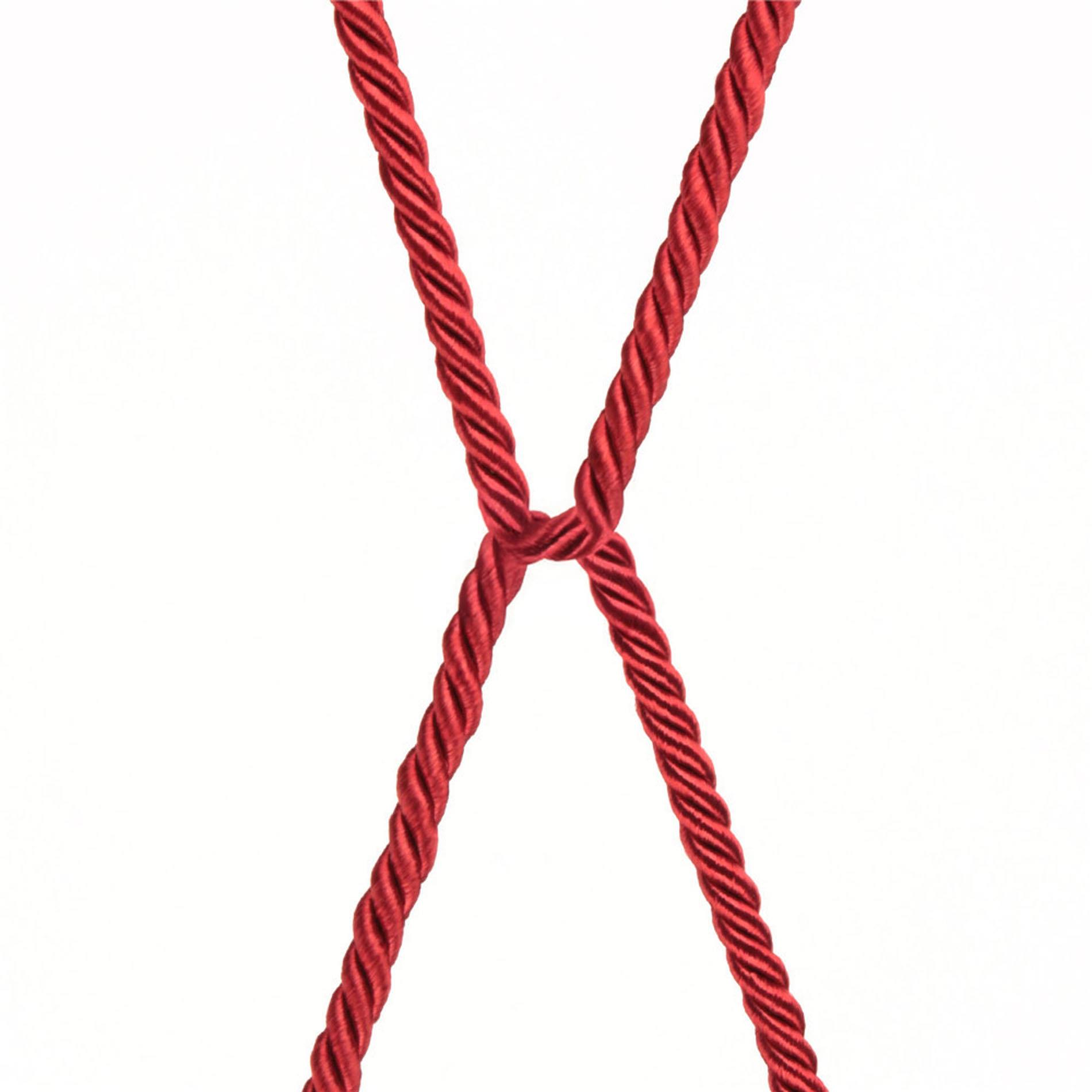 Rebellion Reign Crimson Silky Bondage Rope