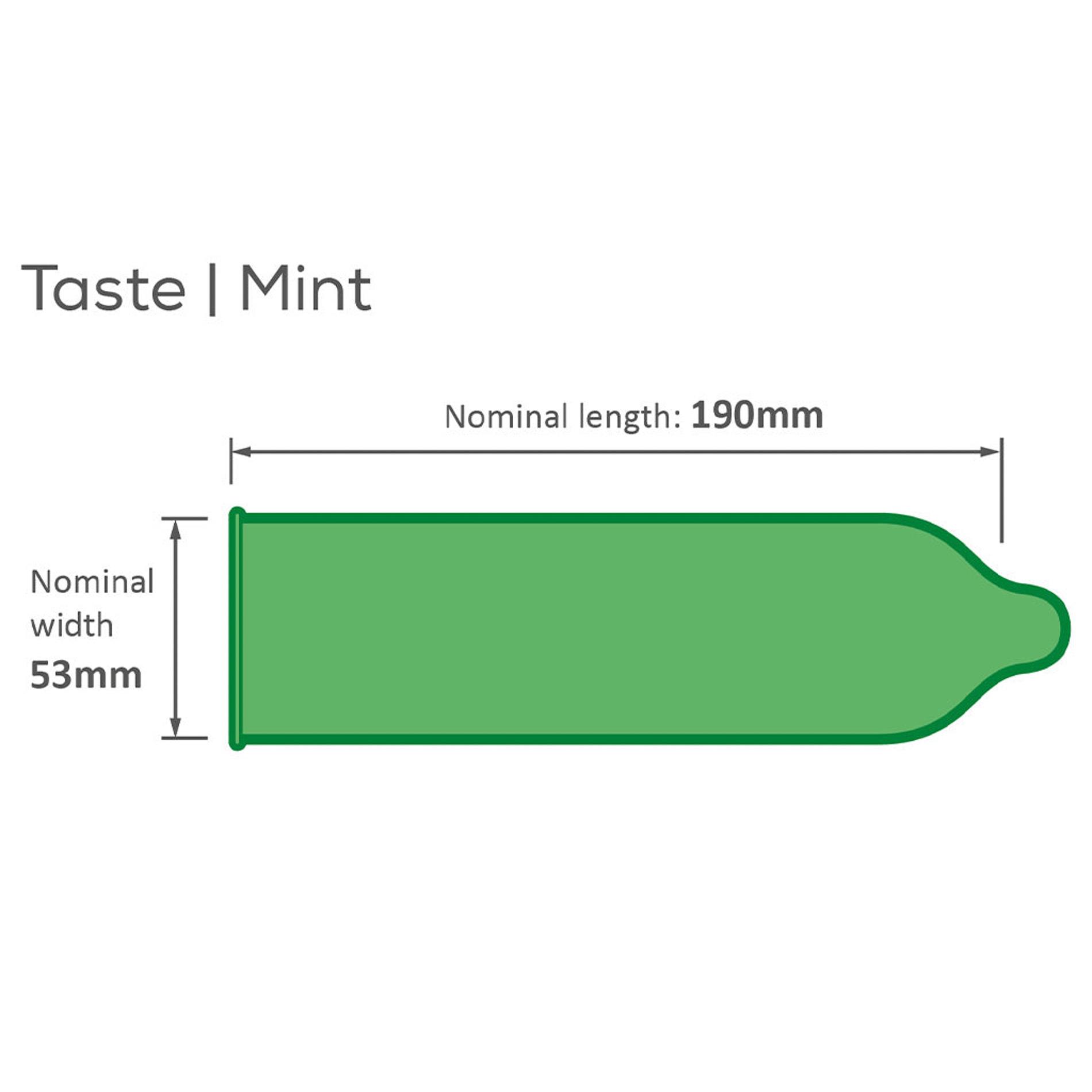 Pasante Mint Tingle Condoms Bulk Packs 144 Psc