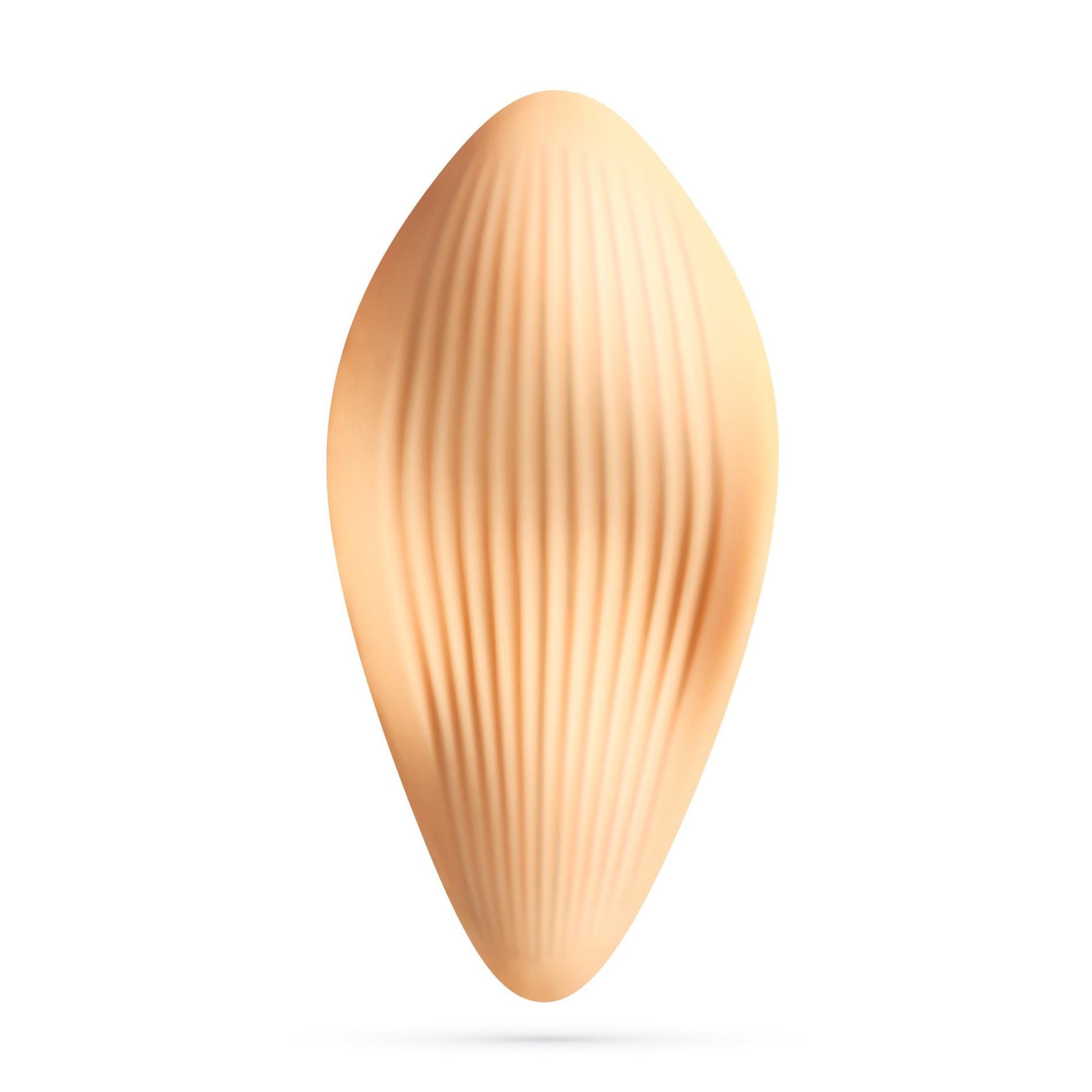 Crushious Atlantis Panty Vibe With Remote Control