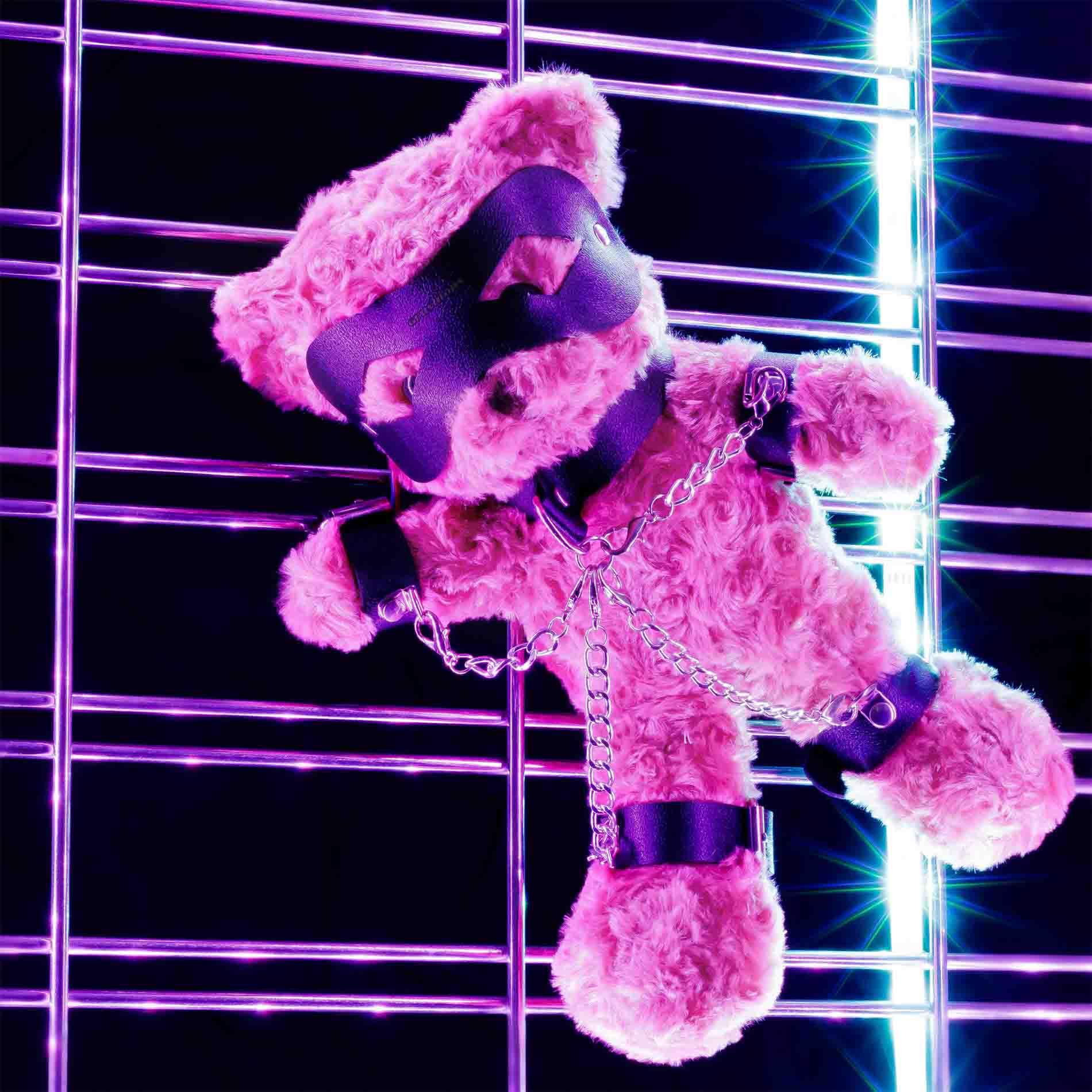 Crushious Crushito Bondage Teddy Bear Black 31Cm