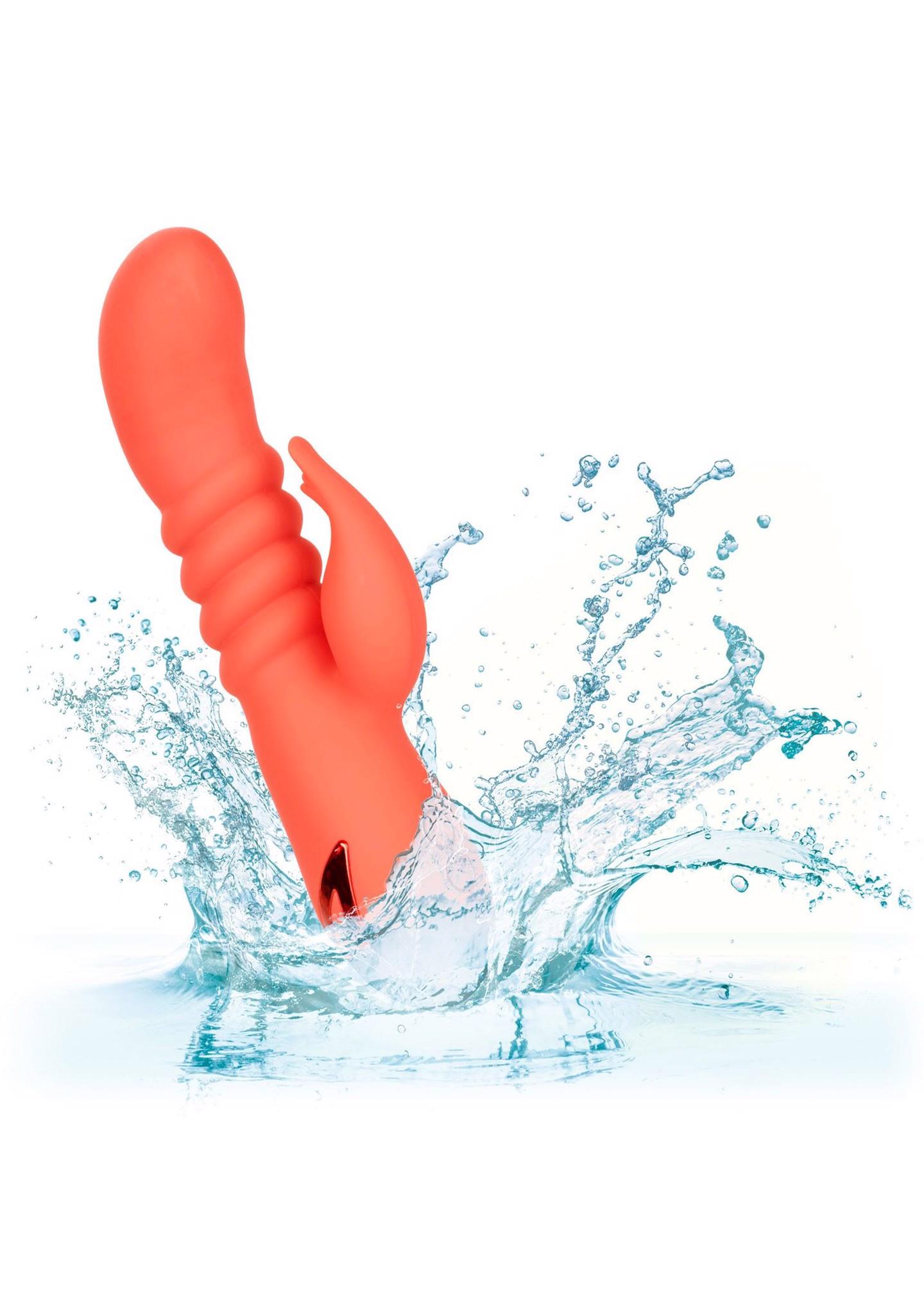 Orange County Cutie Orange