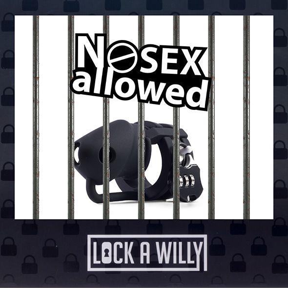 Lock-A-Willy