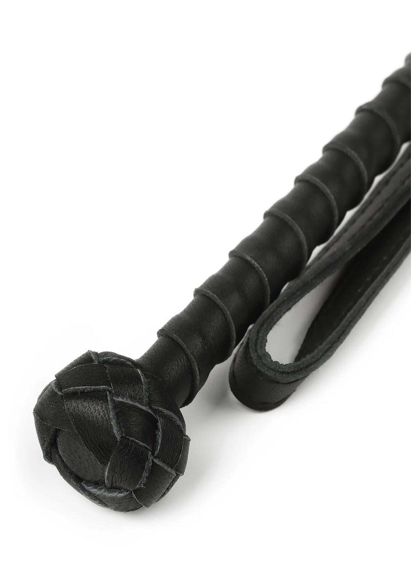 The Obedience Cane