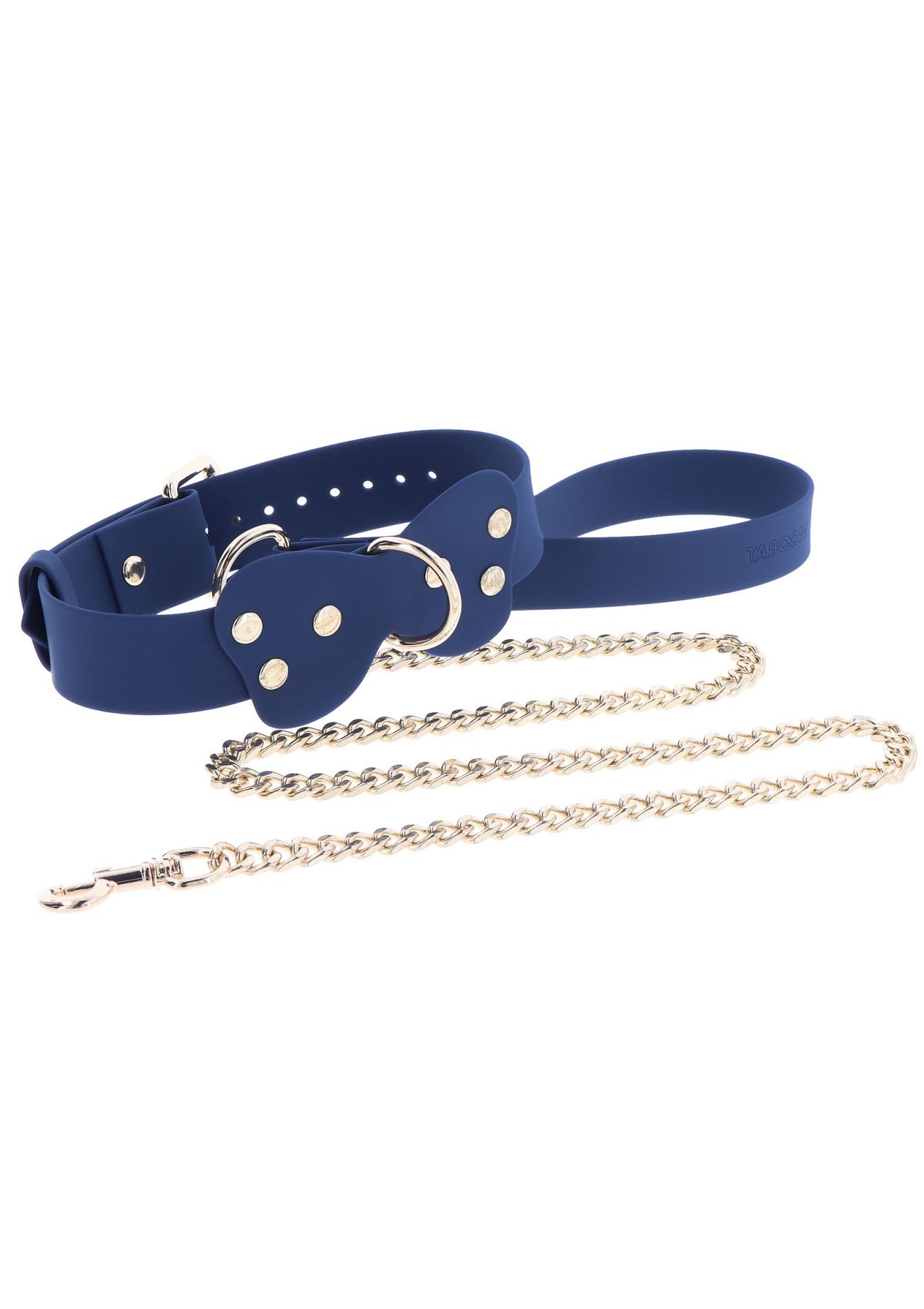 Silicone Collar And Leash Blue