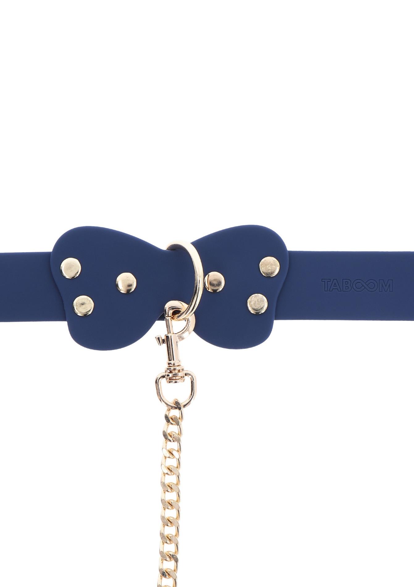 Silicone Collar And Leash Blue