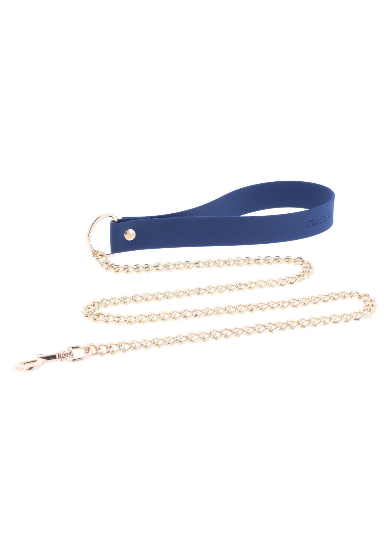 Silicone Collar And Leash Blue
