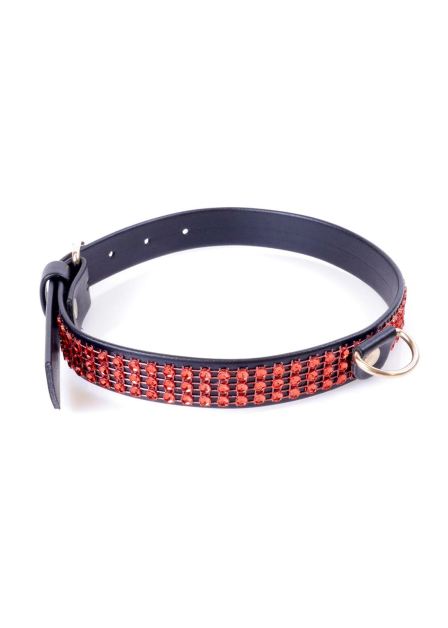 Fetish B - Series Collar With Crystals 2 Cm Red Line