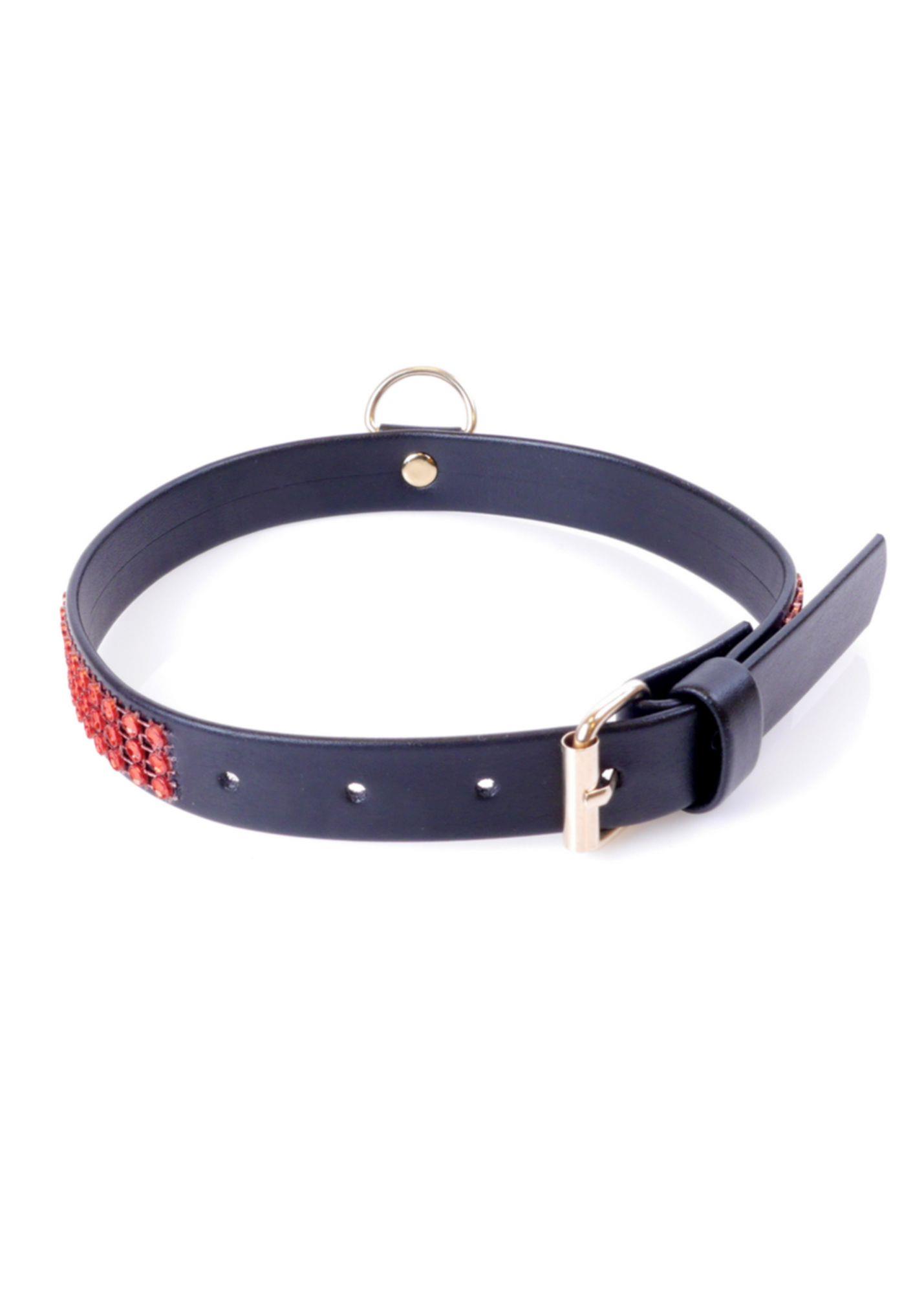 Fetish B - Series Collar With Crystals 2 Cm Red Line