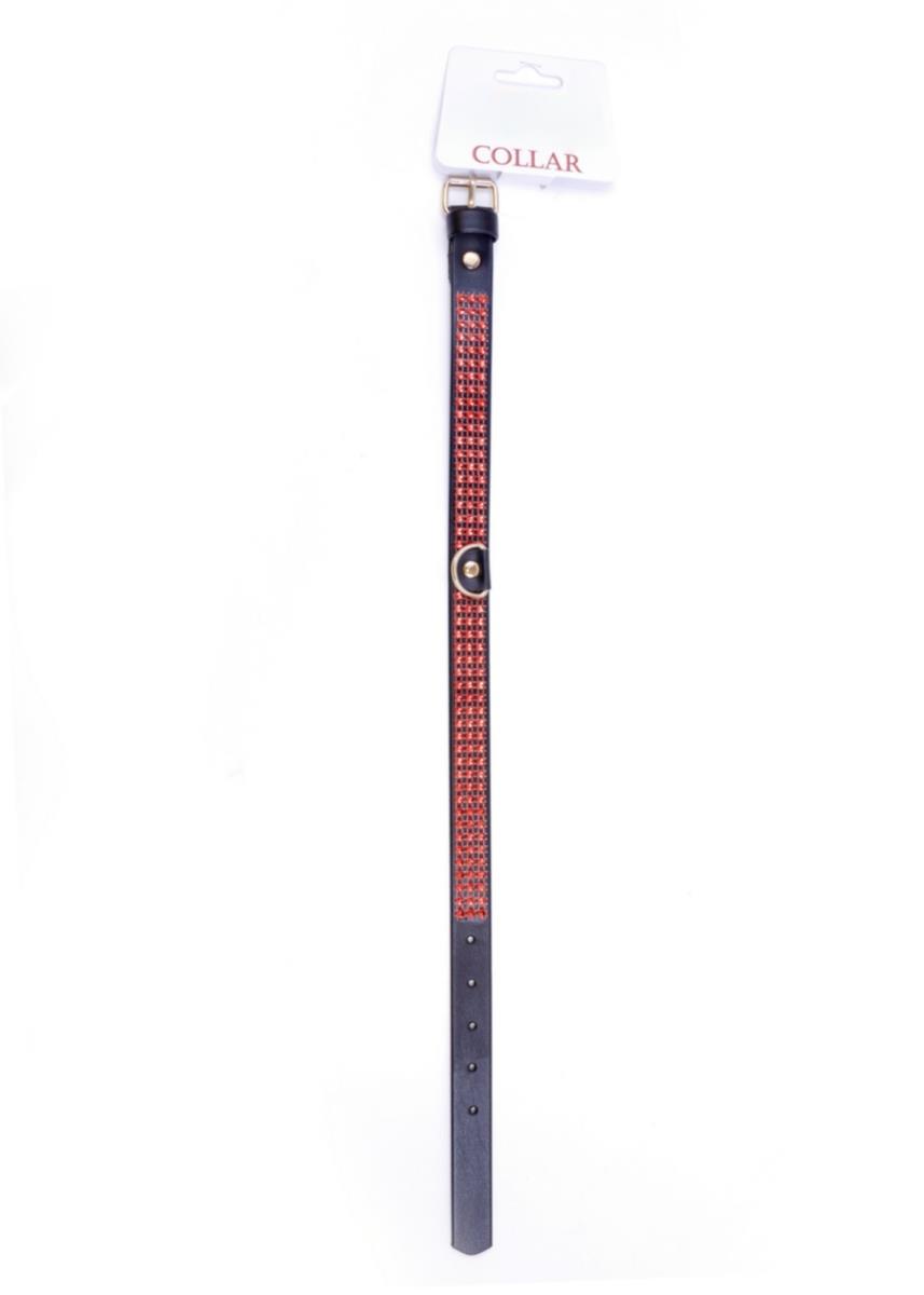 Fetish B - Series Collar With Crystals 2 Cm Red Line