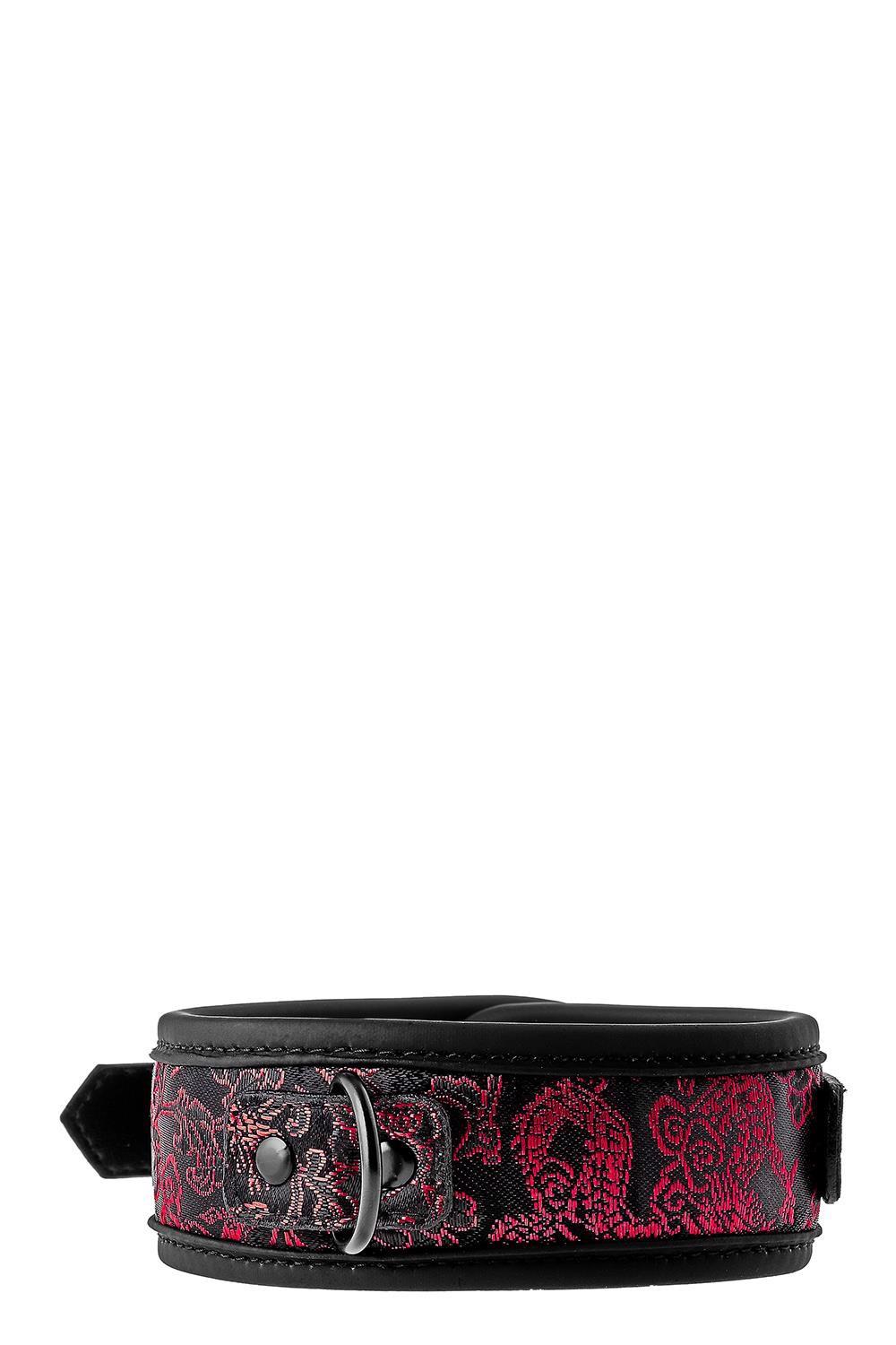 Blaze Deluxe Collar & Leash