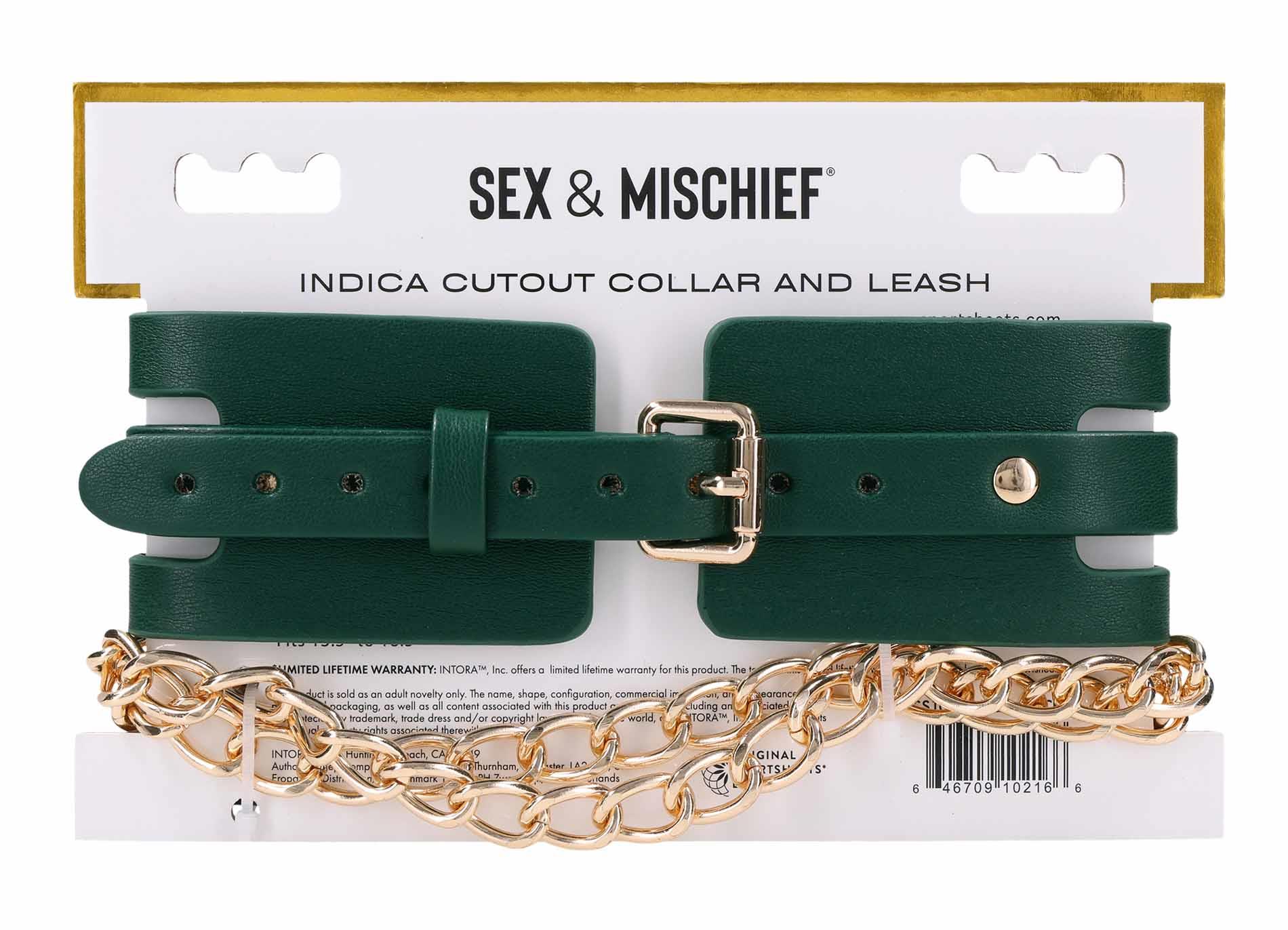 Cutout Collar And Leash