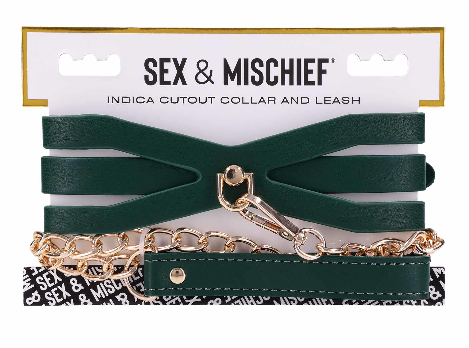Cutout Collar And Leash