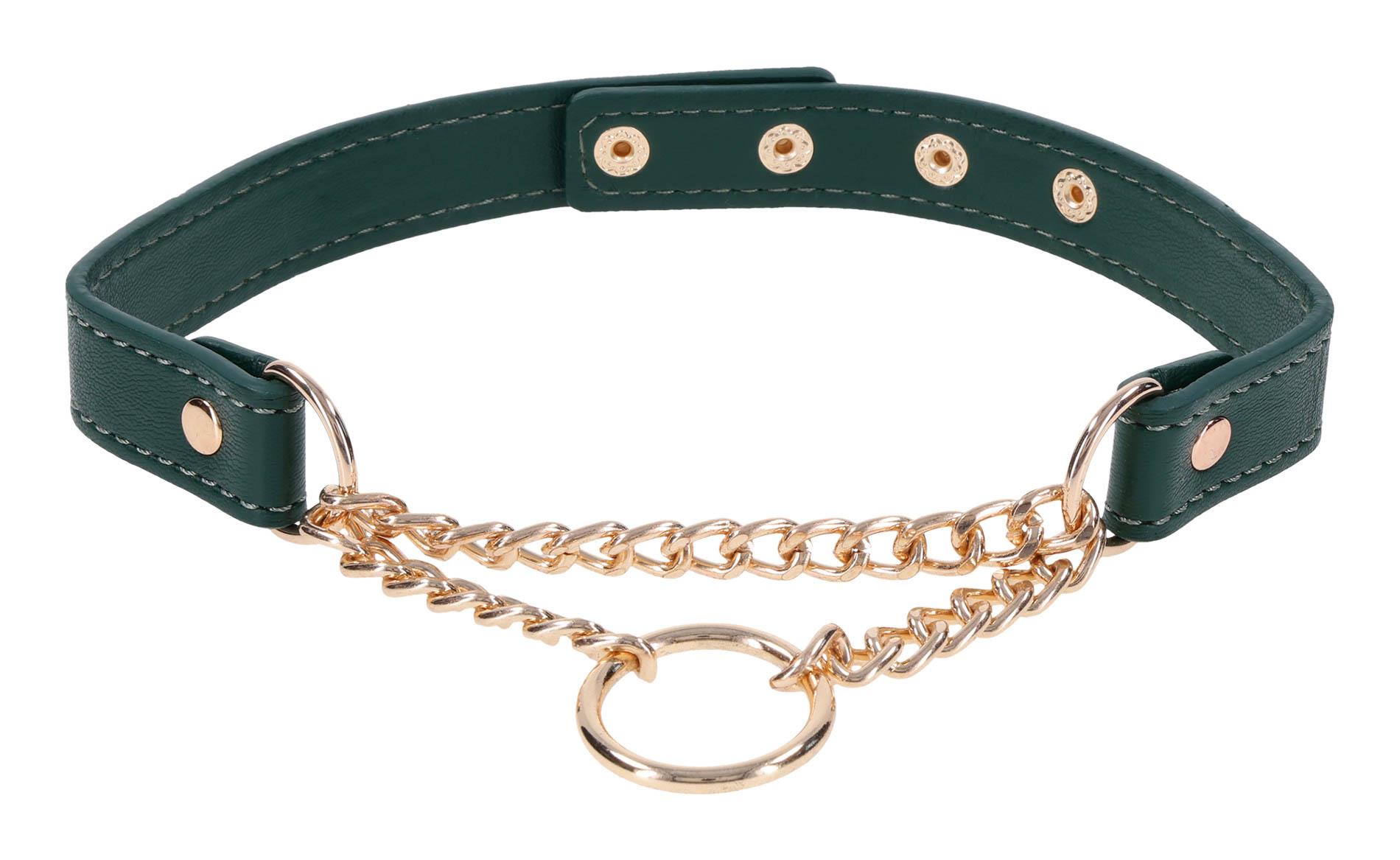 Day Collar