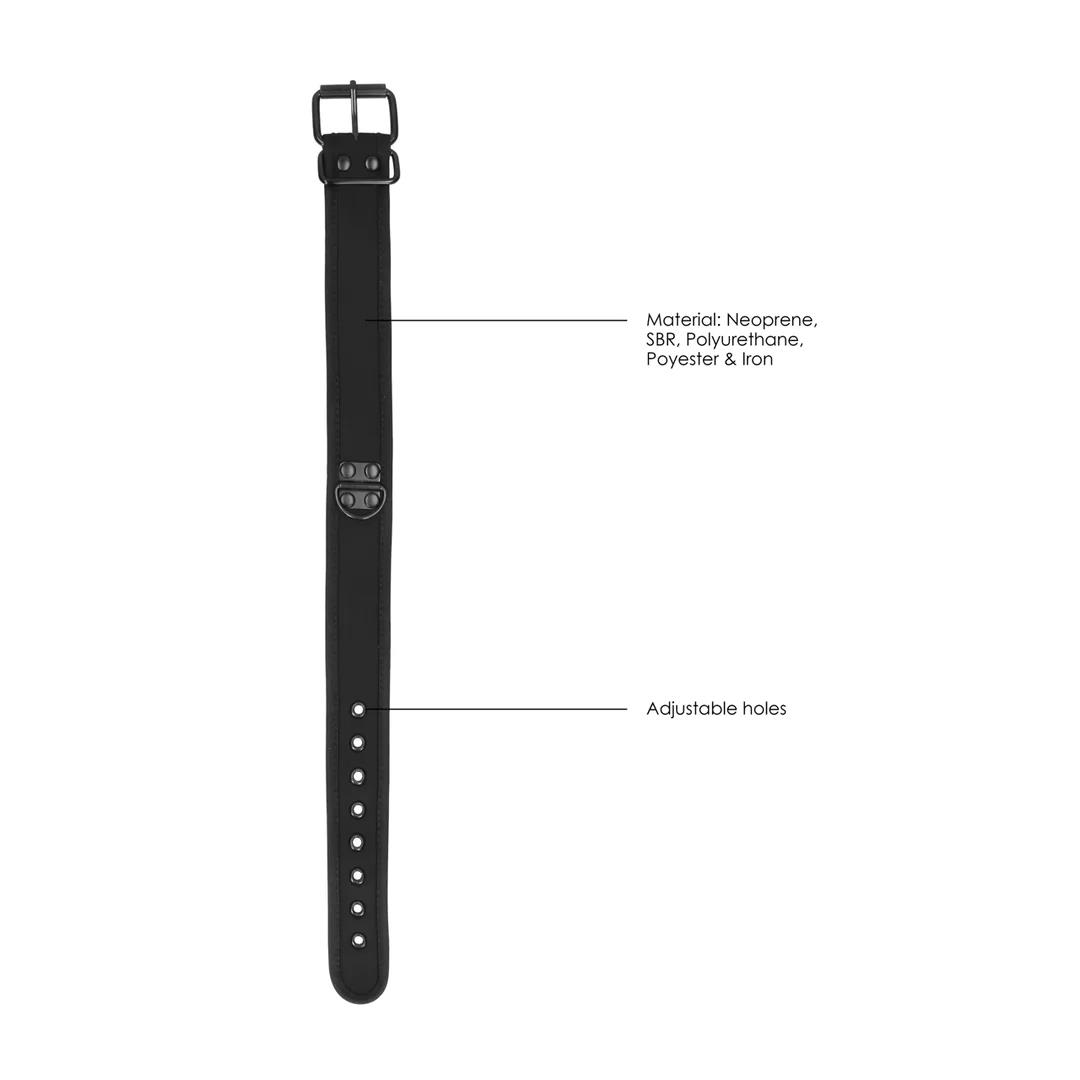 Neoprene Collar With Leash