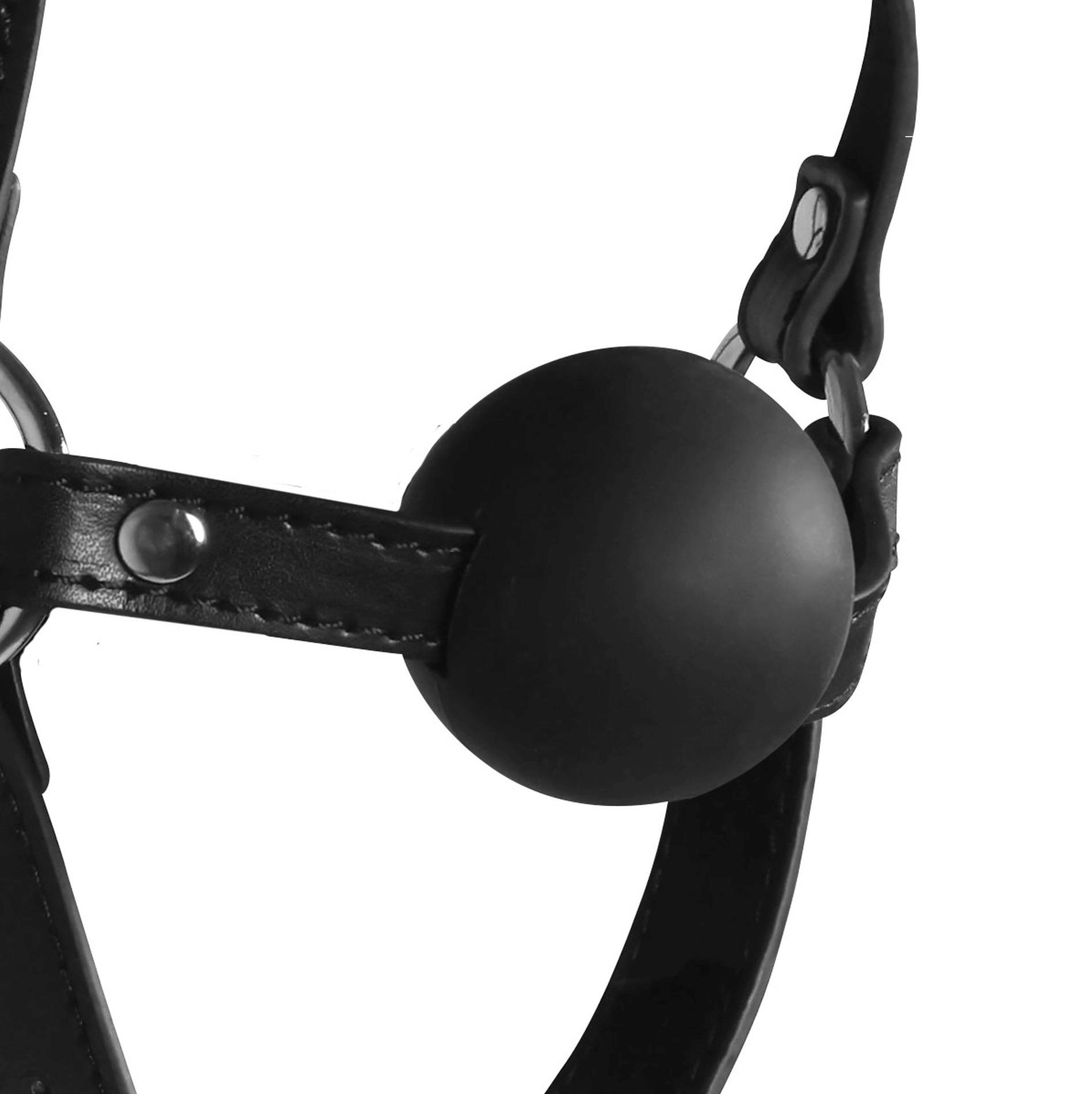 Blindfolded Head Harness With Solid Ball Gag - Black
