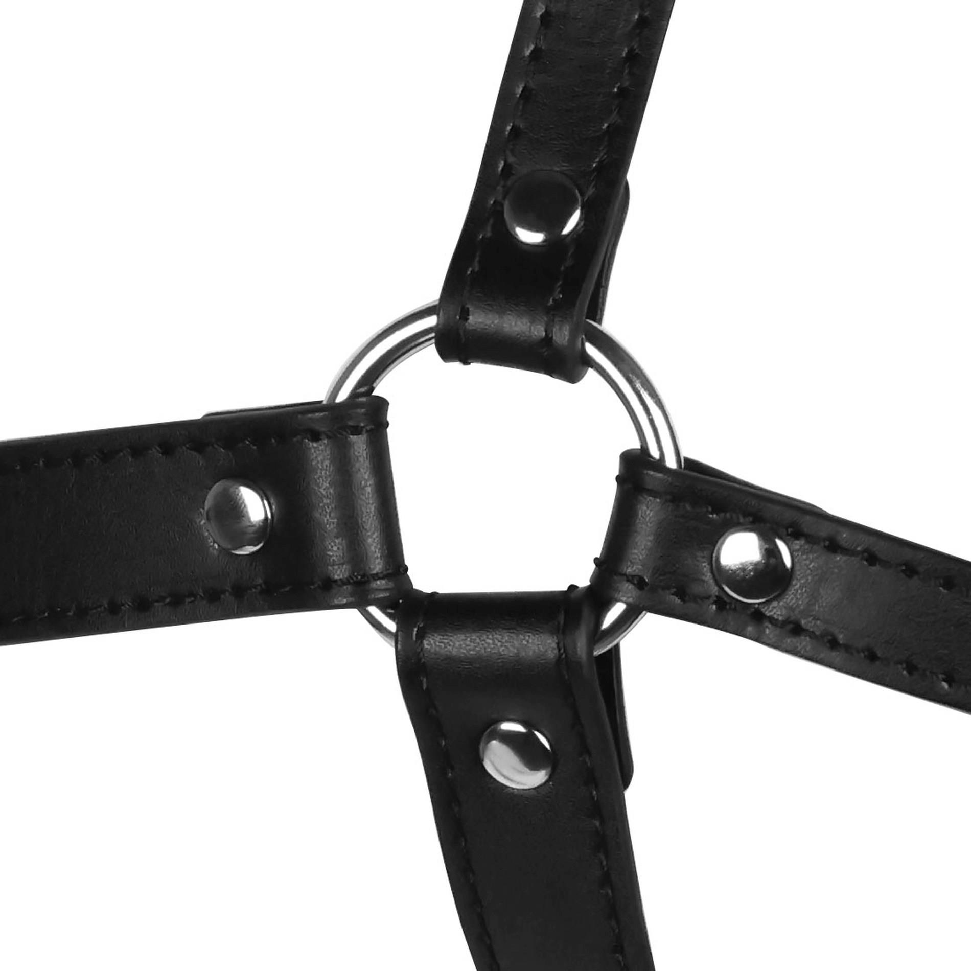 Blindfolded Head Harness With Solid Ball Gag - Black