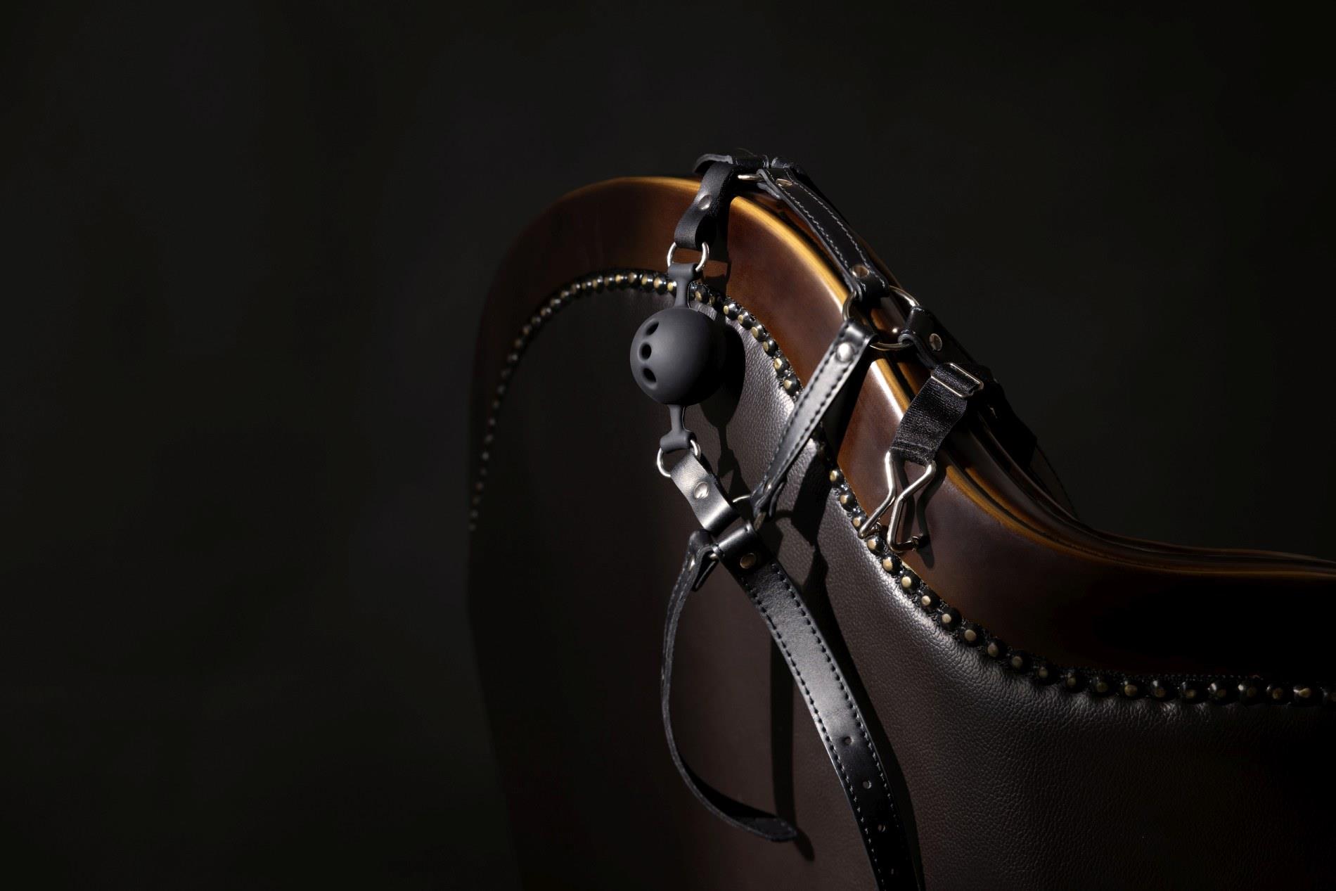 Head Harness With Breathable Ball Gag And Nose Hooks - Black