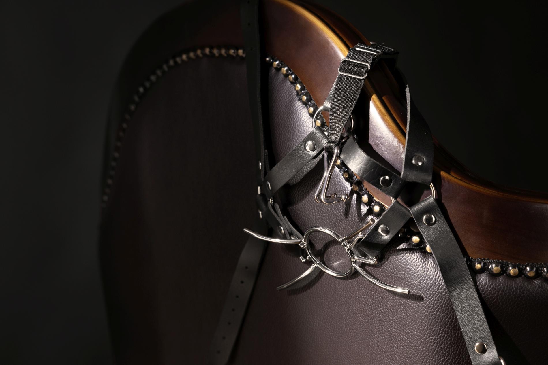 Head Harness With Spider Gag And Nose Hooks - Black