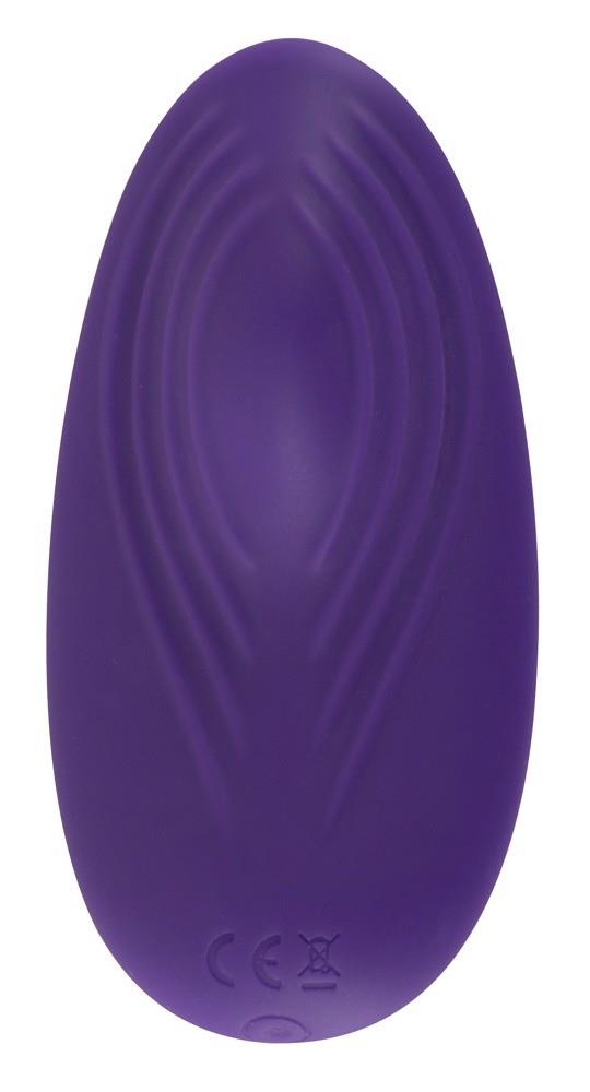 Sweet Smile Rc Panty Vibrator