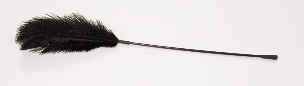 Black Feather Bad Kitty