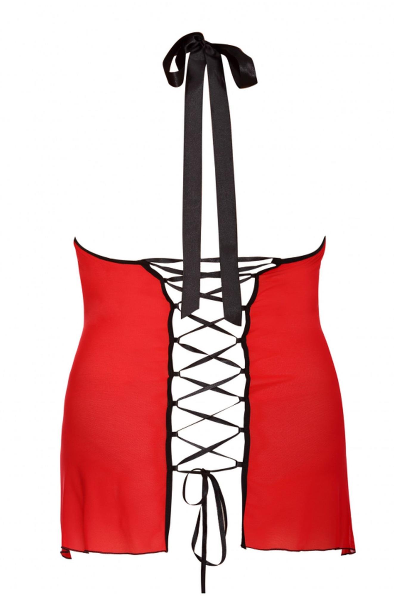 Dharma L+ (Halka&Stringi)