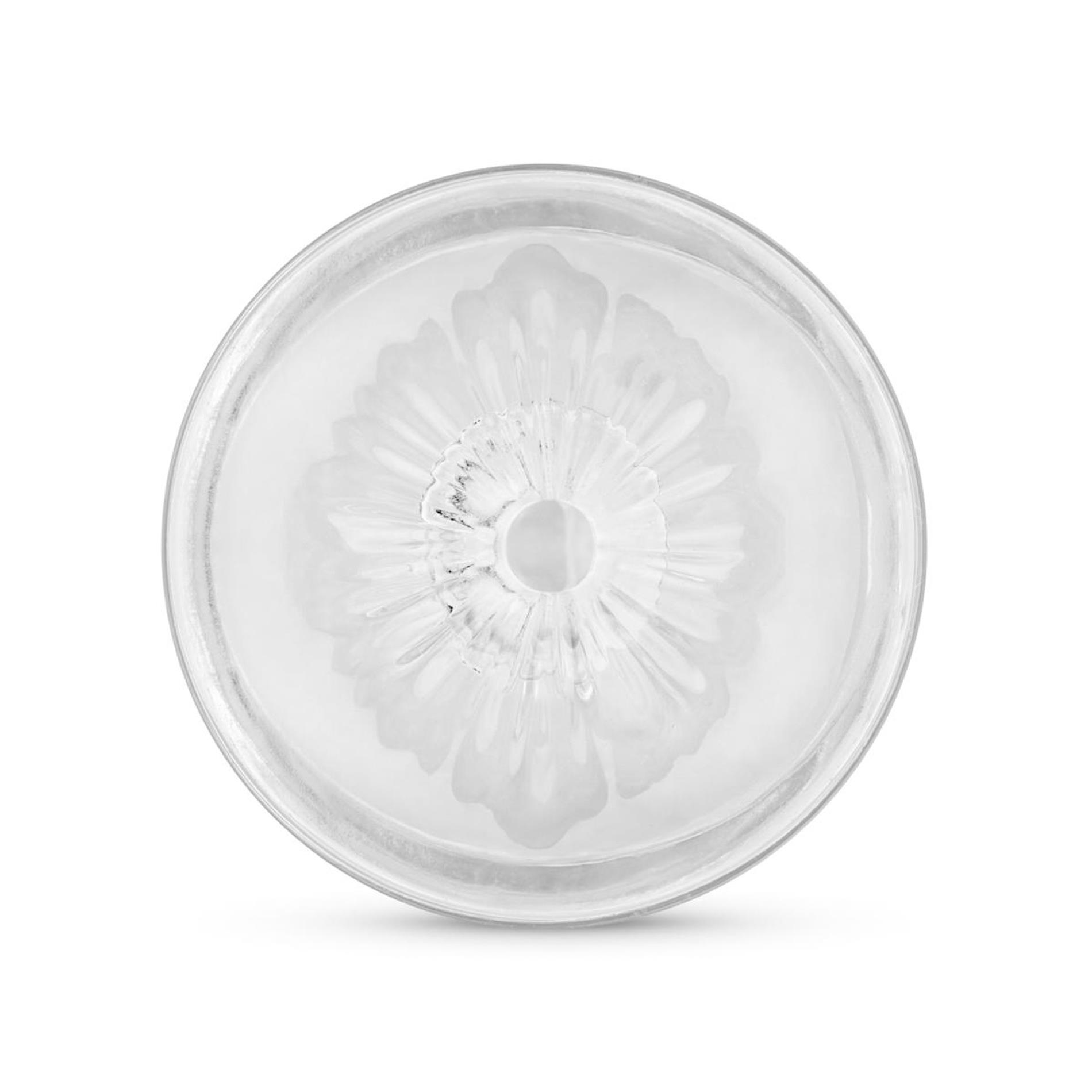 Fppr. - Double-Sided Masturbator Vagina Anus Transp.