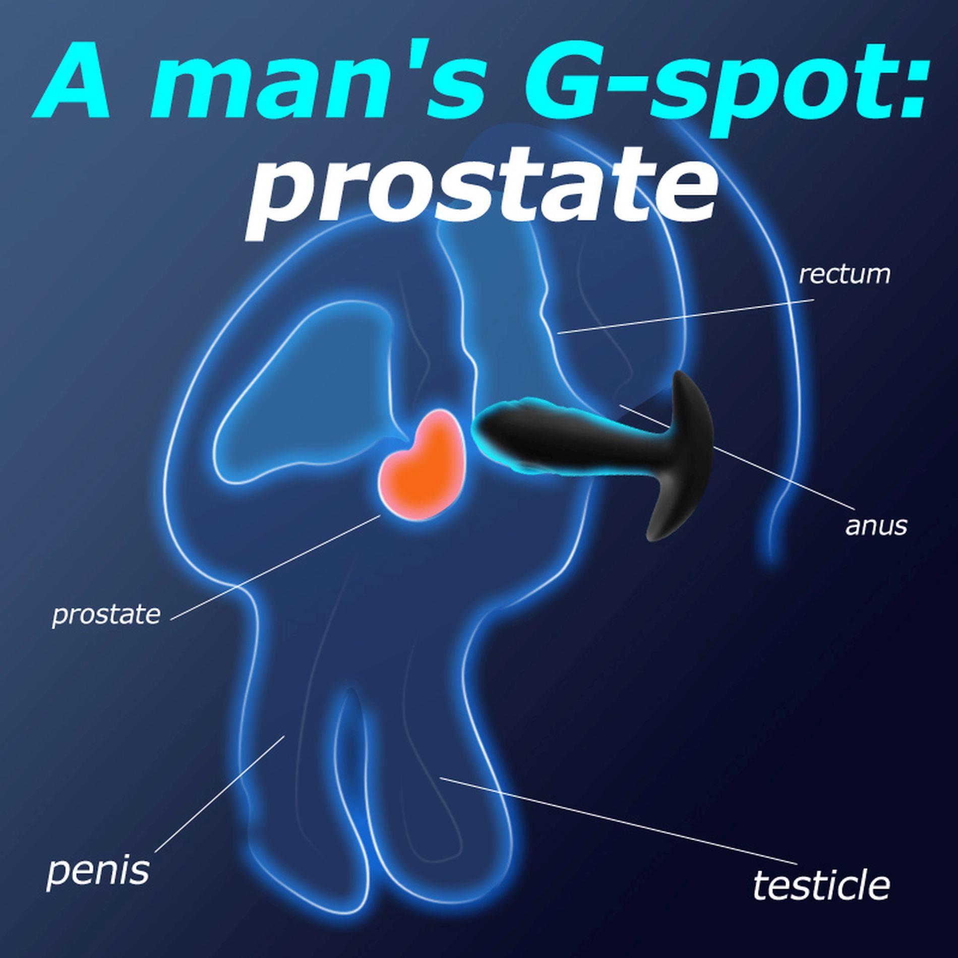 Dual Tapping Anal Plug