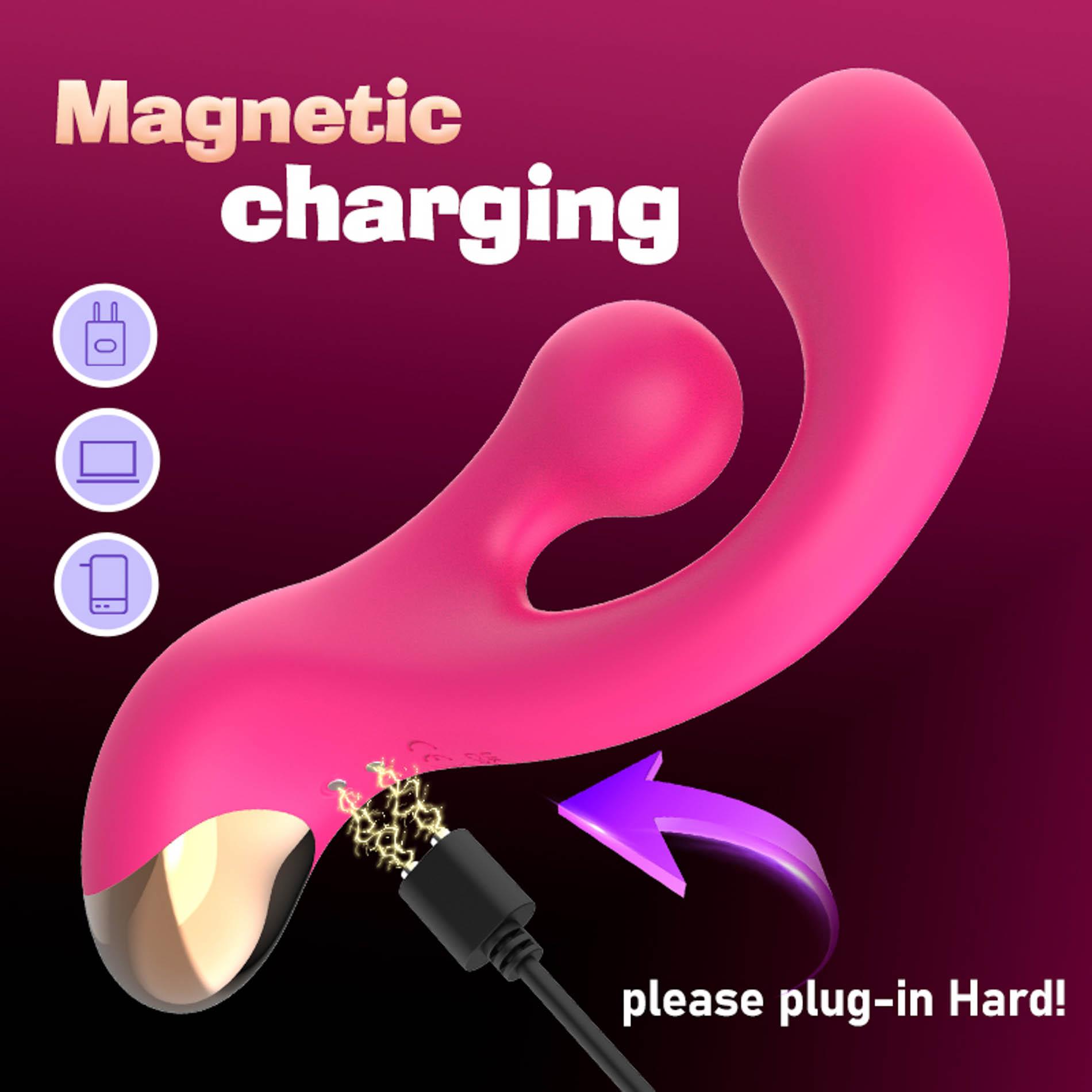 Sani Rotaing Vibrator