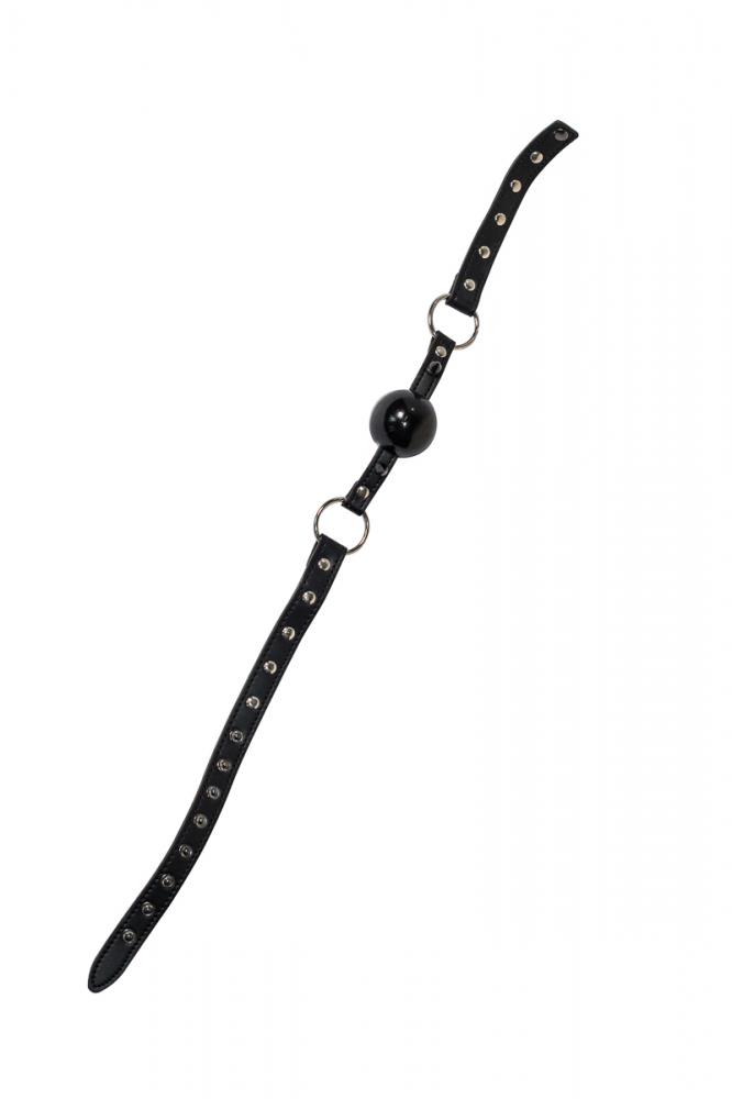 Ball Gag Party Hard Bare