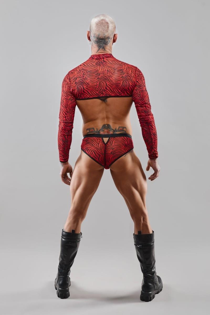 Majtki Brazyliany - L