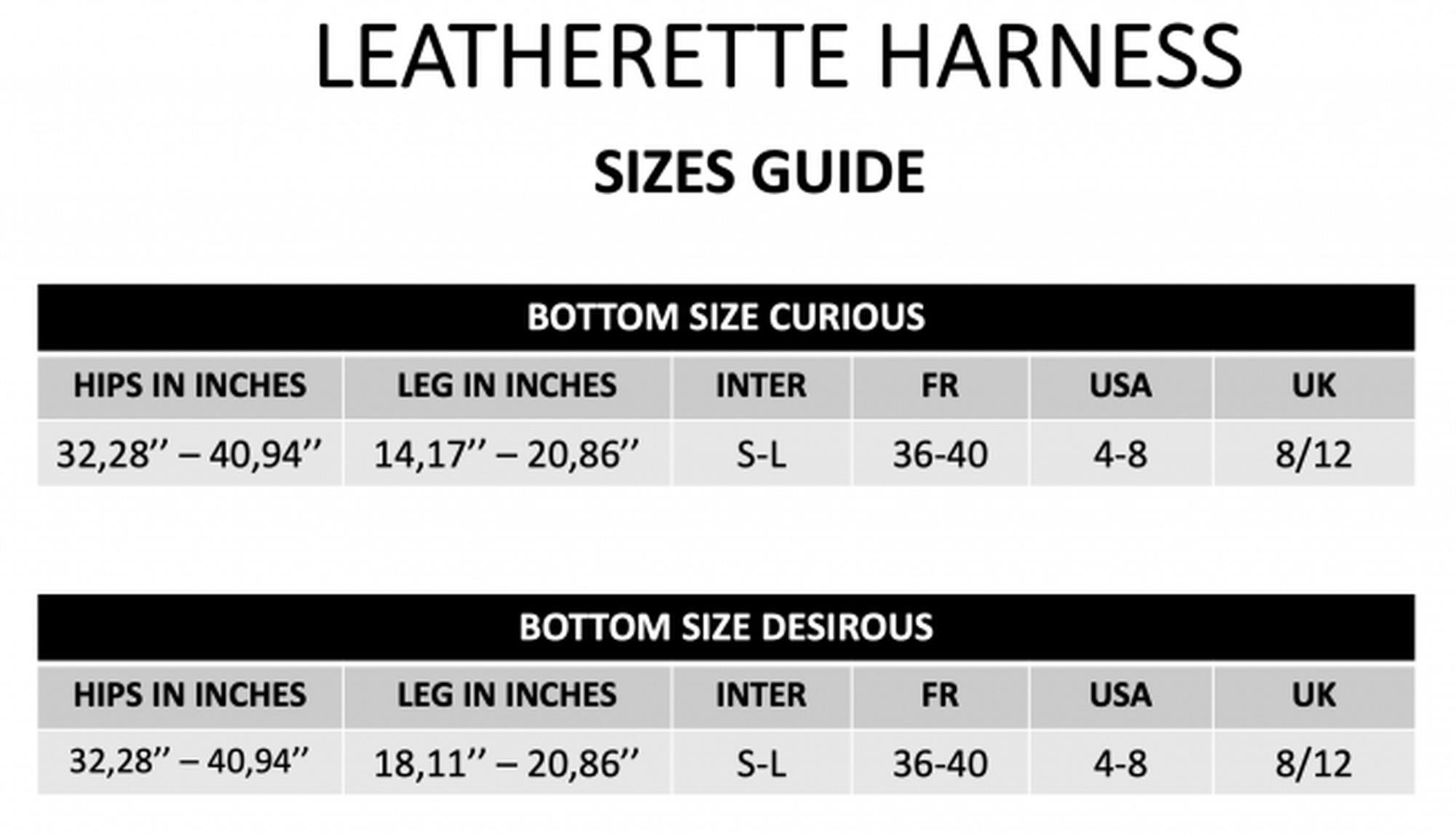 Leatherette Harness Curious