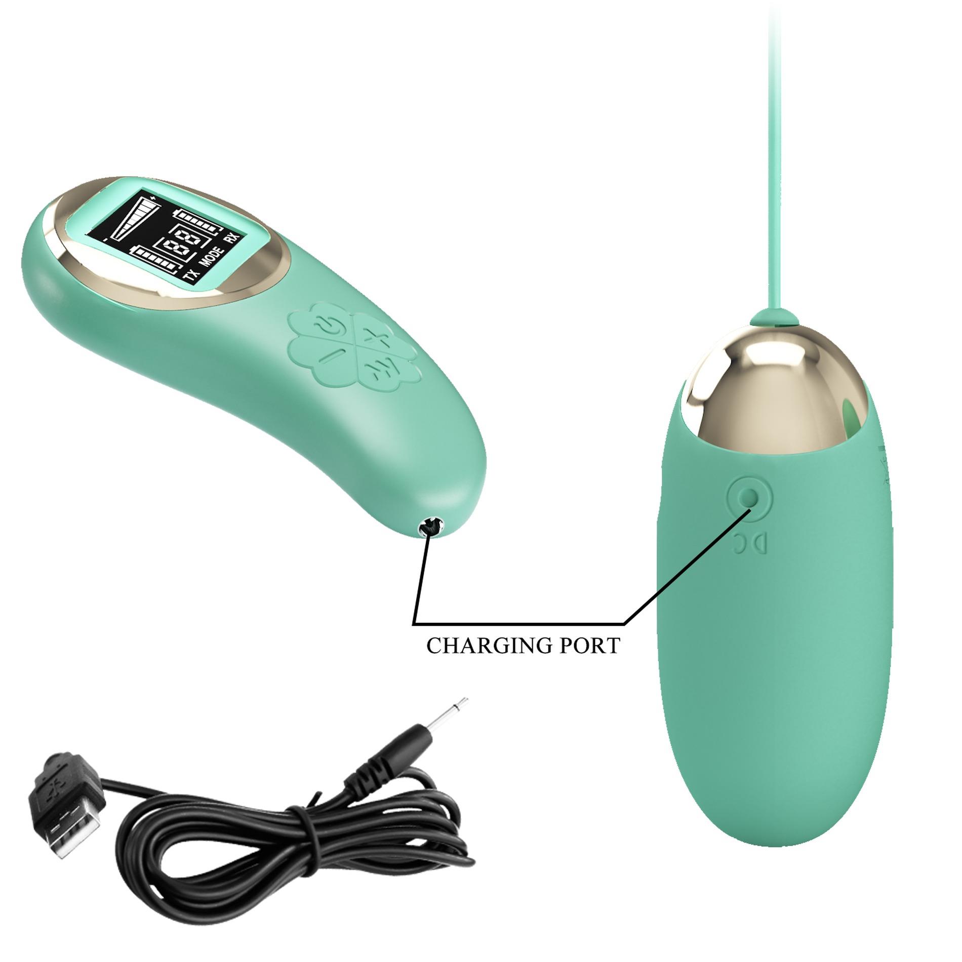 Pretty Love - Mina-10 Vibration Functions 9 Speed Levels Wireless Remote