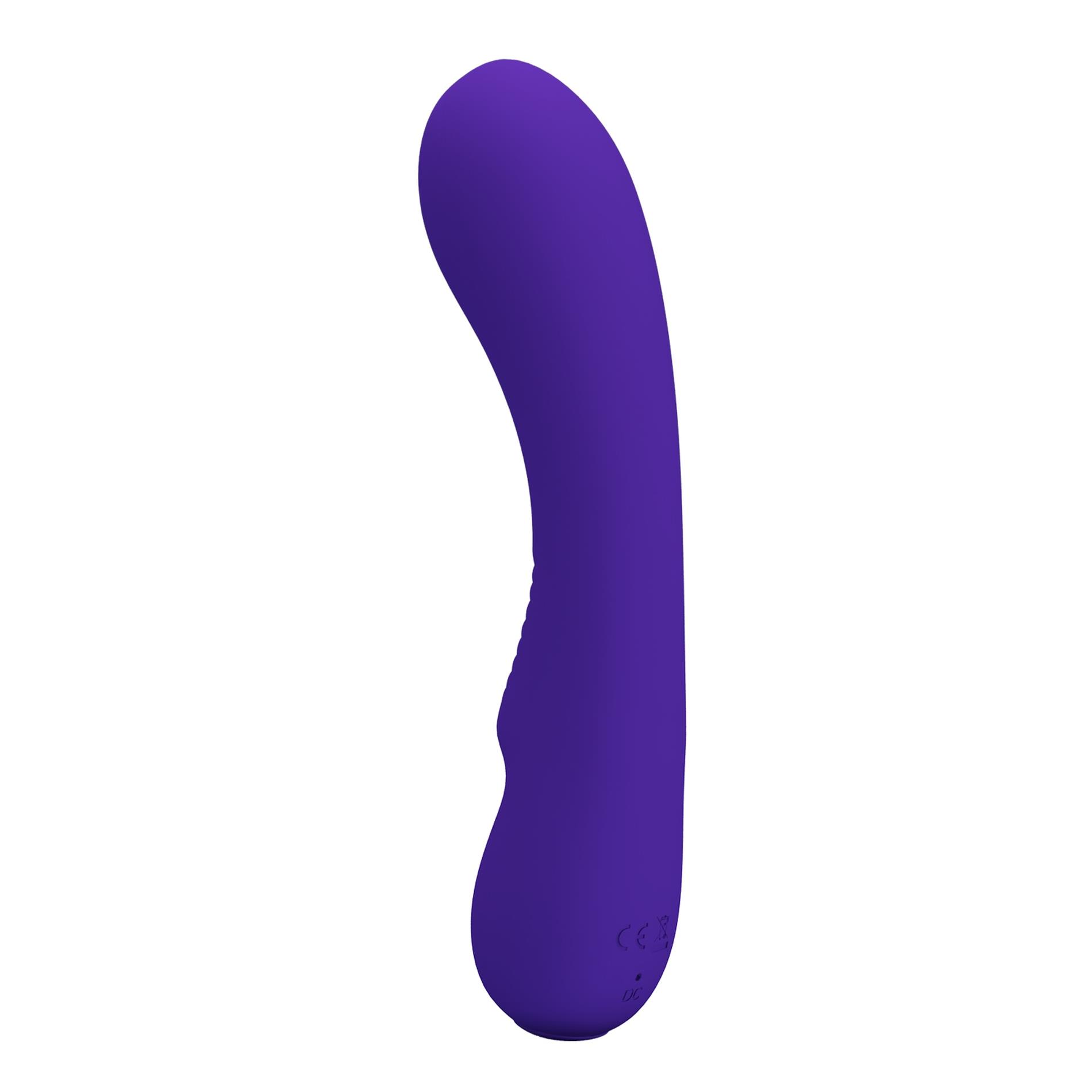 Pretty Love - Matt Purple 12 Vibration Functions Memory Function