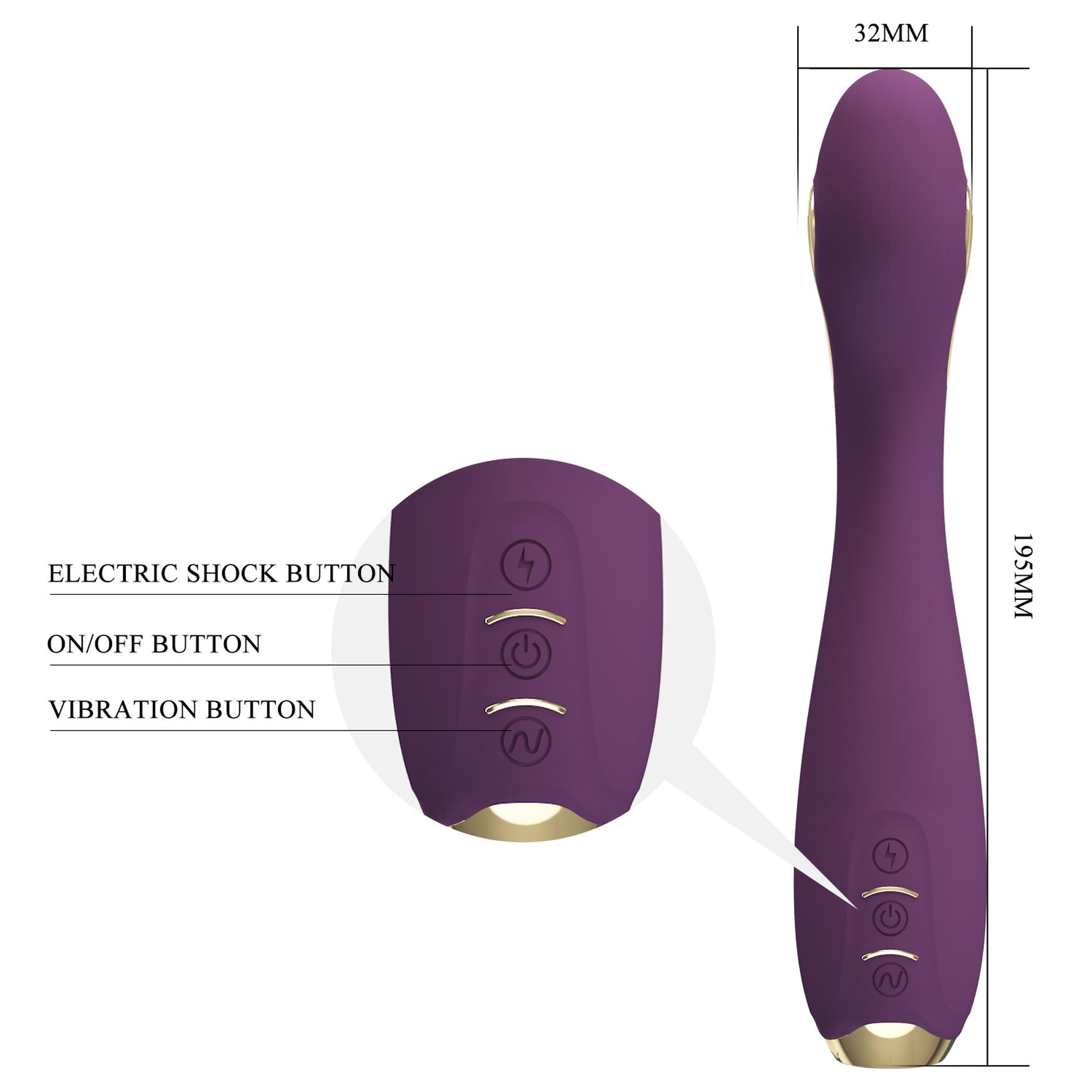 Pretty Love - Hector, 12 Vibration Functions 5 Electric Shock Functions