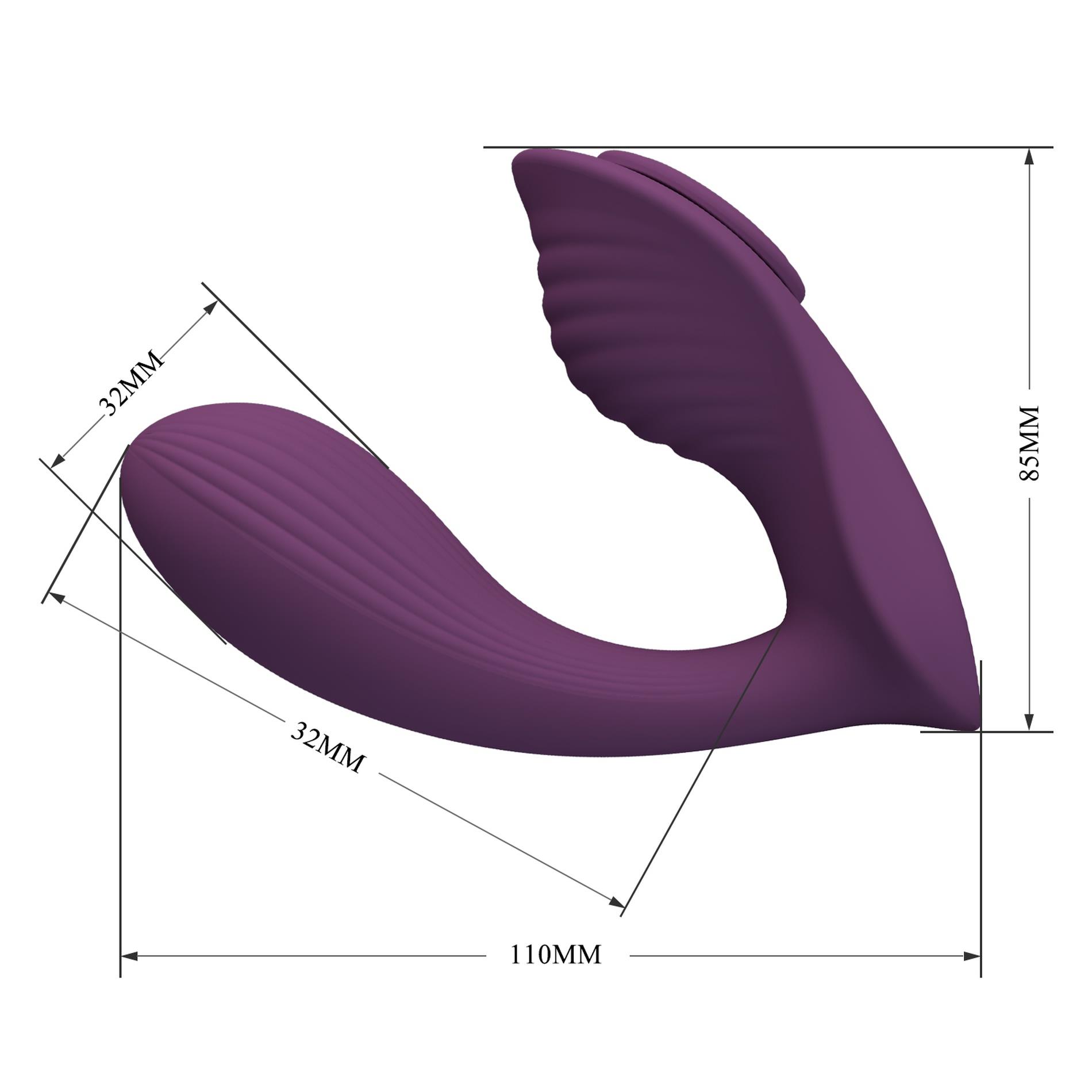 Franz, 10 Vibration Functions Mobile App Remote Control