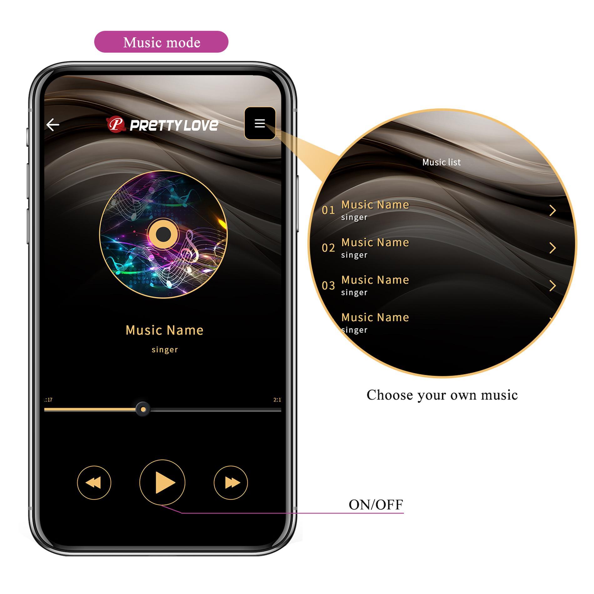 Franz, 10 Vibration Functions Mobile App Remote Control